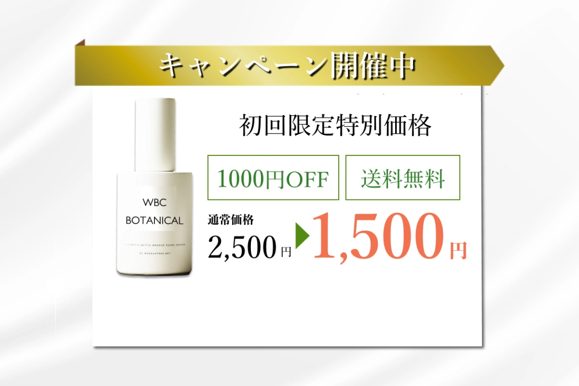 キャンペーン開催中　ボタンなしLP